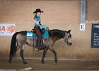 mp-stables 20130921 056