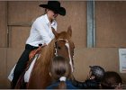 mp-stables 20130921 057