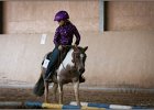 mp-stables 20130921 061