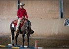 mp-stables 20130921 066
