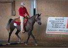 mp-stables 20130921 067