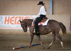 mp-stables 20130921 068