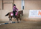mp-stables 20130921 069