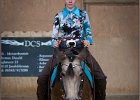 mp-stables 20130921 072