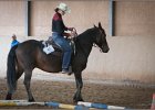 mp-stables 20130921 075