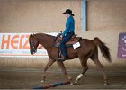 mp-stables 20130921 077