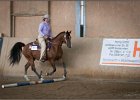 mp-stables 20130921 081
