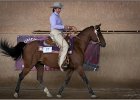 mp-stables 20130921 082