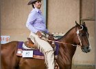 mp-stables 20130921 083