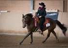 mp-stables 20130921 098