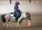 mp-stables 20130921 099