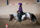 mp-stables 20130921 100