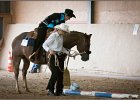 mp-stables 20130921 112