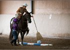 mp-stables 20130921 119