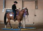 mp-stables 20130921 121