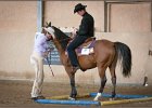 mp-stables 20130921 122