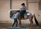 mp-stables 20130921 123