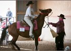 mp-stables 20130921 124