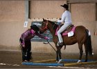 mp-stables 20130921 125