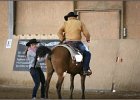 mp-stables 20130921 127