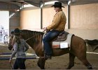 mp-stables 20130921 128