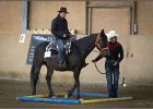 mp-stables 20130921 129