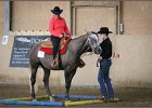 mp-stables 20130921 130