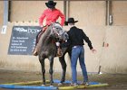 mp-stables 20130921 131