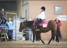 mp-stables 20130921 134