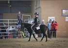 mp-stables 20130921 135