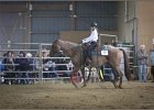 mp-stables 20130921 137