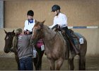mp-stables 20130921 138