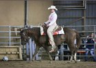 mp-stables 20130921 142