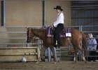 mp-stables 20130921 143