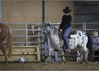 mp-stables 20130921 145