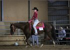 mp-stables 20130921 147