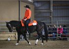 mp-stables 20130921 148