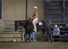 mp-stables 20130921 149