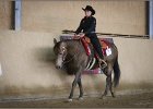 mp-stables 20130921 152