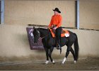 mp-stables 20130921 154