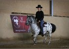 mp-stables 20130921 155