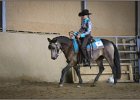 mp-stables 20130921 156