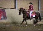 mp-stables 20130921 157