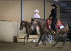 mp-stables 20130921 161