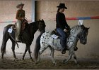 mp-stables 20130921 166