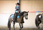 mp-stables 20130921 167