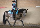 mp-stables 20130921 168