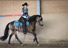 mp-stables 20130921 171