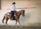 mp-stables 20130921 172