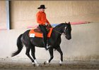 mp-stables 20130921 173